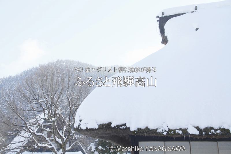 初冬の飛騨高山(雪の合掌造り)撮影・柳沢雅彦