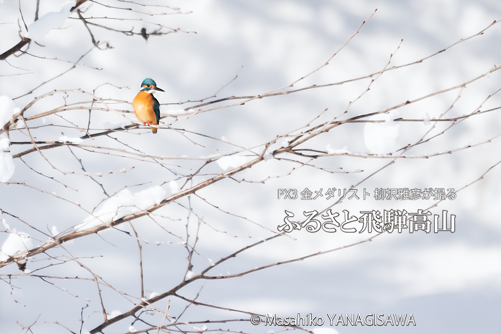 　撮影・柳沢雅彦