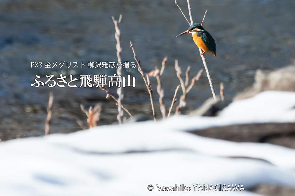 　撮影・柳沢雅彦