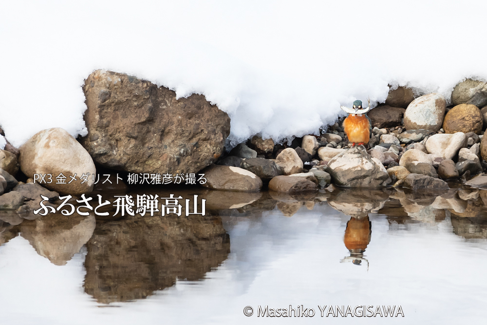 　撮影・柳沢雅彦