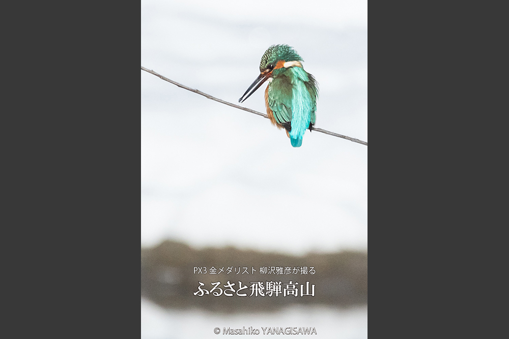 　撮影・柳沢雅彦