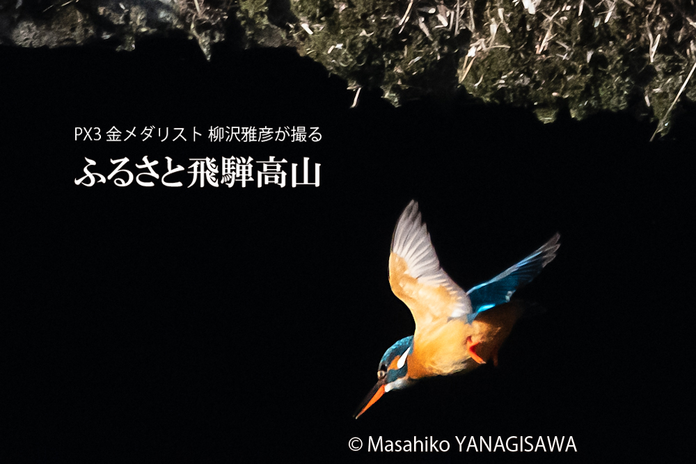 　撮影・柳沢雅彦