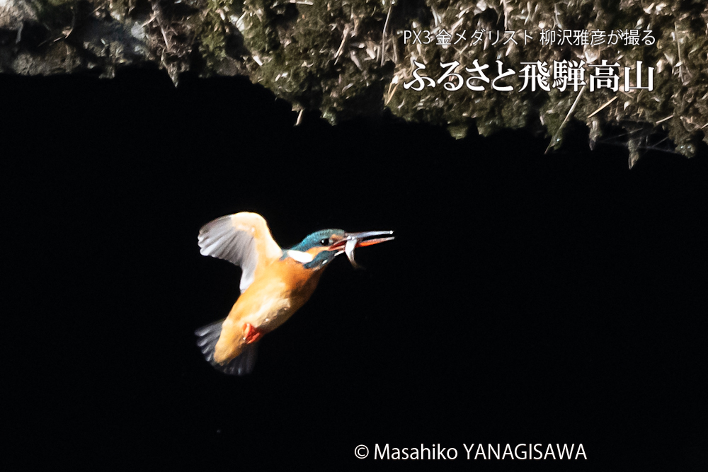 　撮影・柳沢雅彦