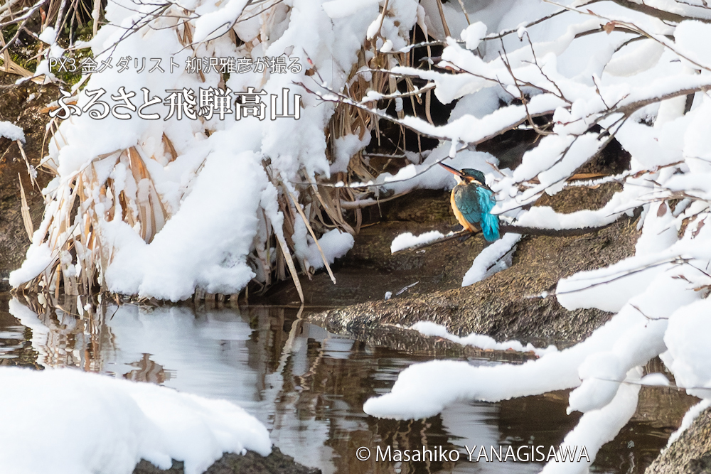 　撮影・柳沢雅彦