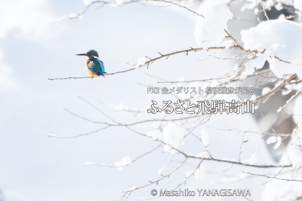 　撮影・柳沢雅彦