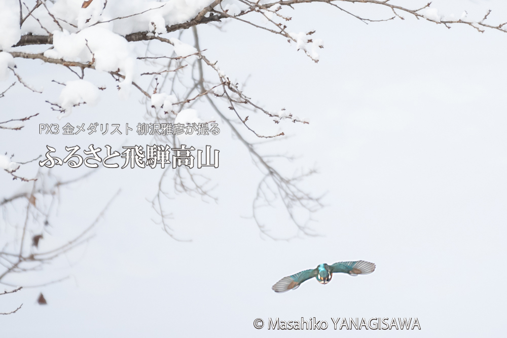 　撮影・柳沢雅彦