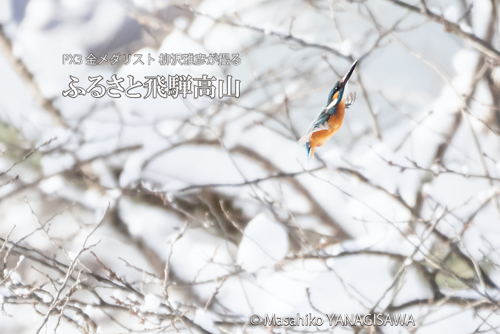 　撮影・柳沢雅彦