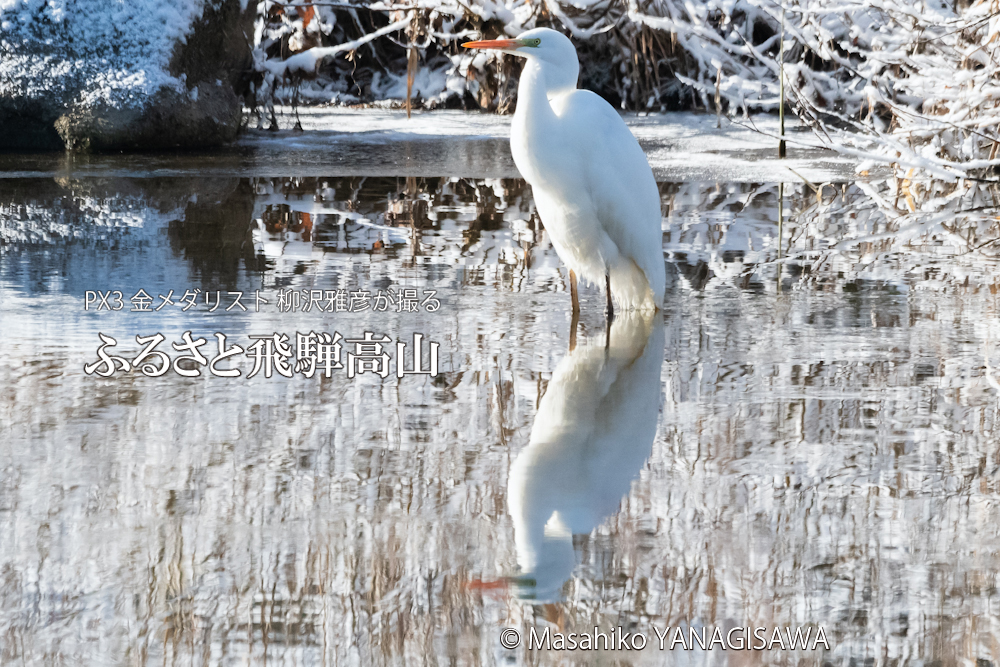 　撮影・柳沢雅彦