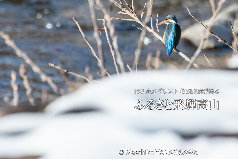 　撮影・柳沢雅彦