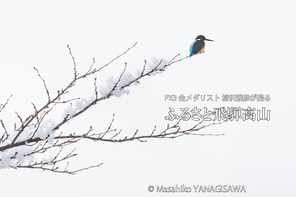 　撮影・柳沢雅彦