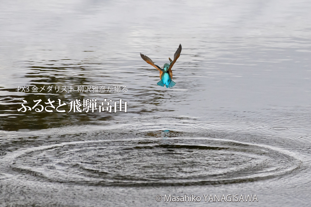 　撮影・柳沢雅彦