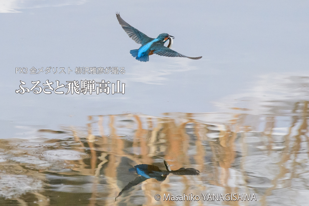 　撮影・柳沢雅彦