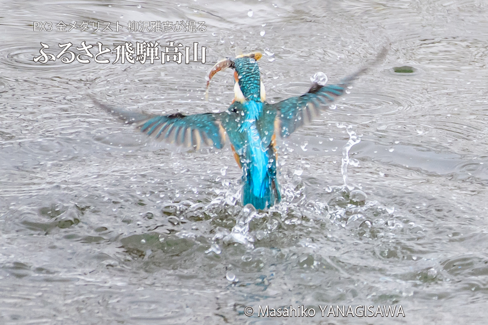 　撮影・柳沢雅彦