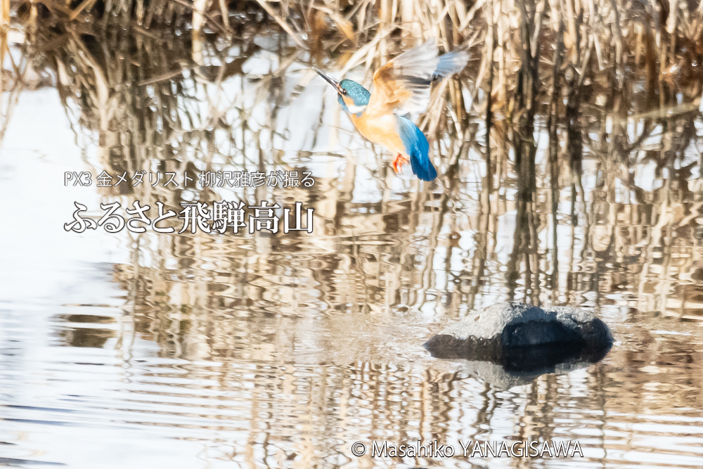 　撮影・柳沢雅彦