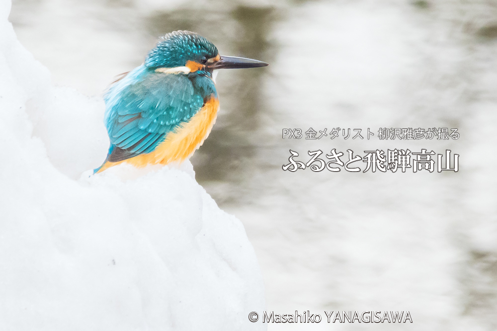 　撮影・柳沢雅彦