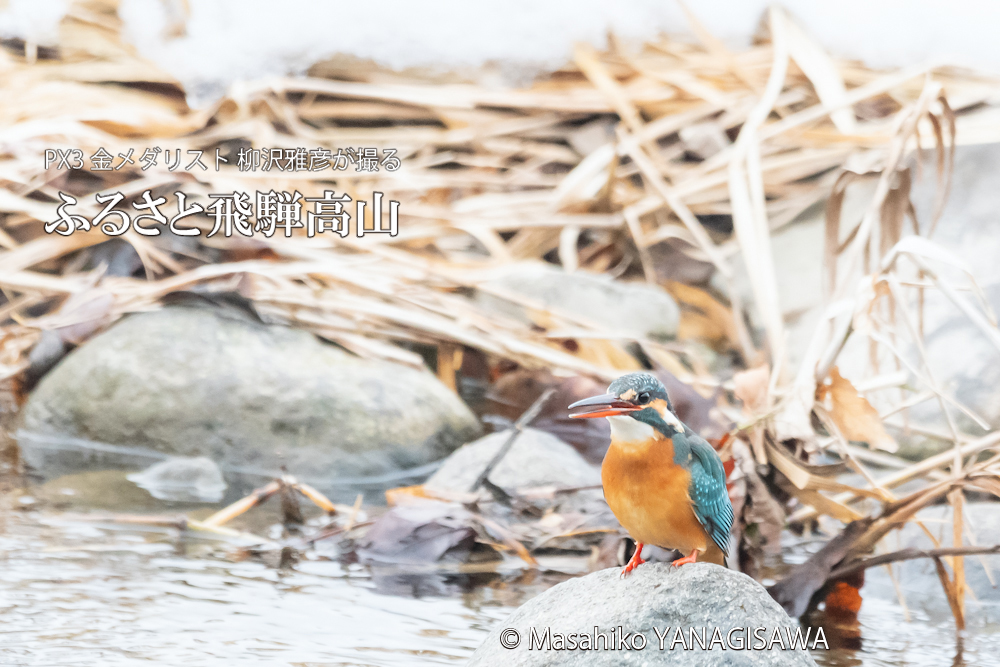 　撮影・柳沢雅彦