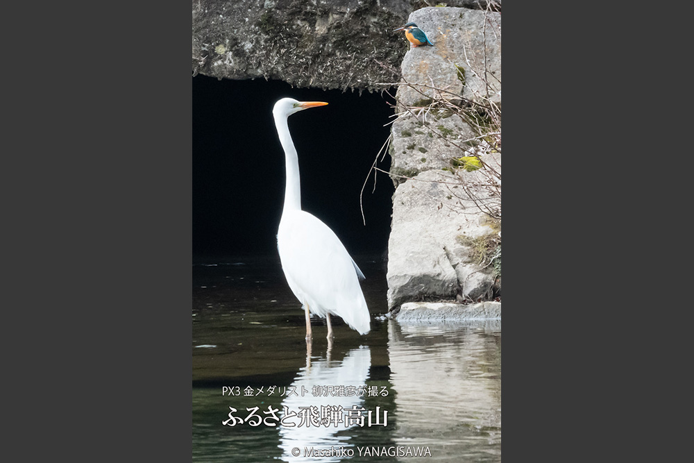 　撮影・柳沢雅彦