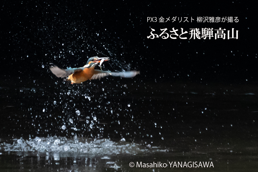 　撮影・柳沢雅彦