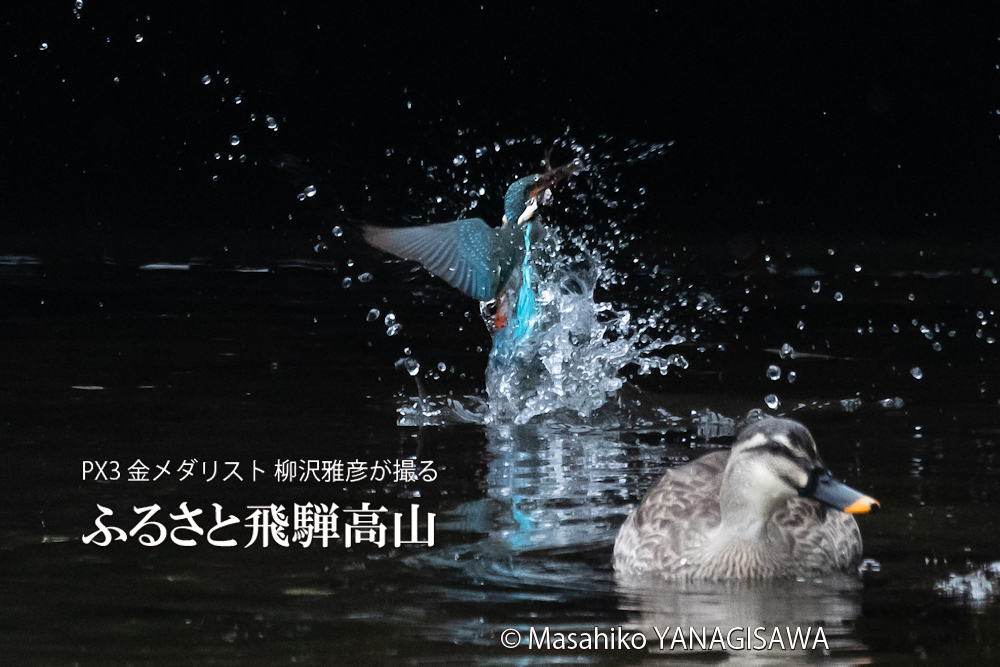 　撮影・柳沢雅彦