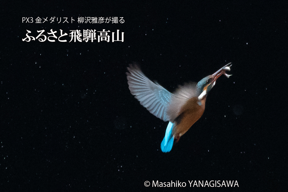 　撮影・柳沢雅彦