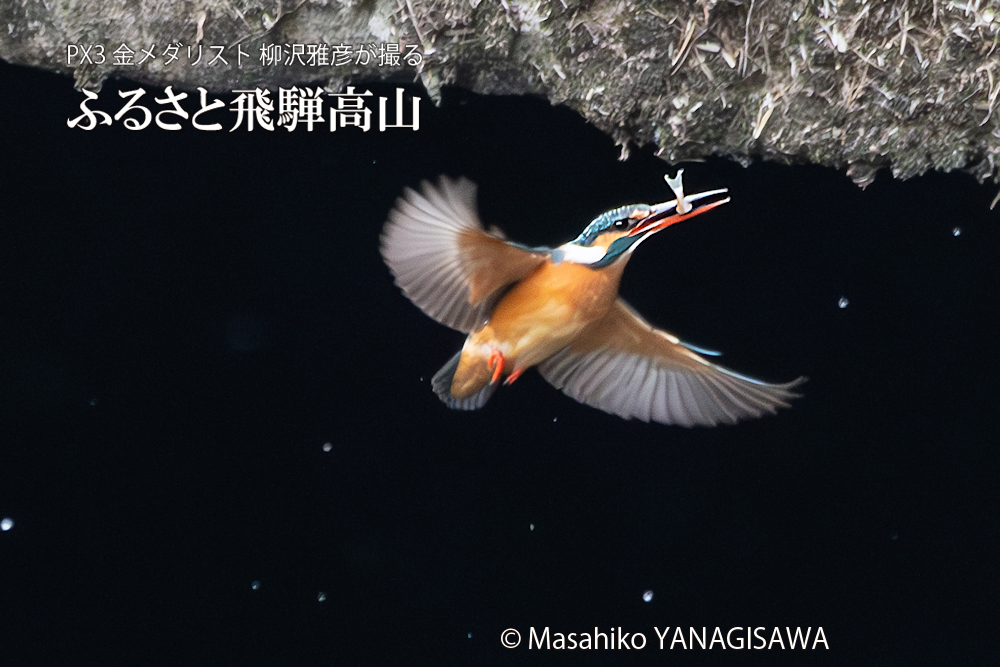 　撮影・柳沢雅彦