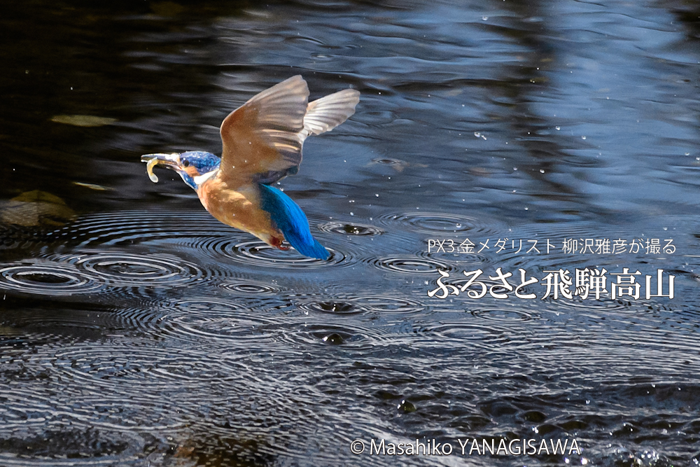 　撮影・柳沢雅彦