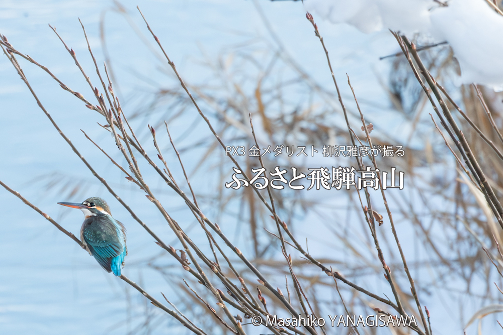 　撮影・柳沢雅彦