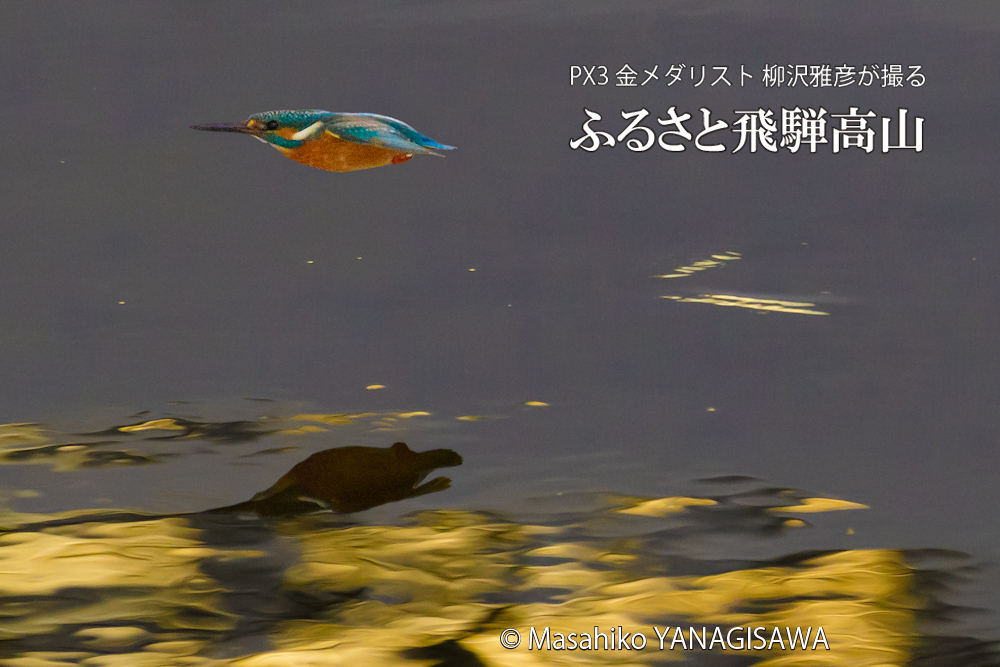 　撮影・柳沢雅彦