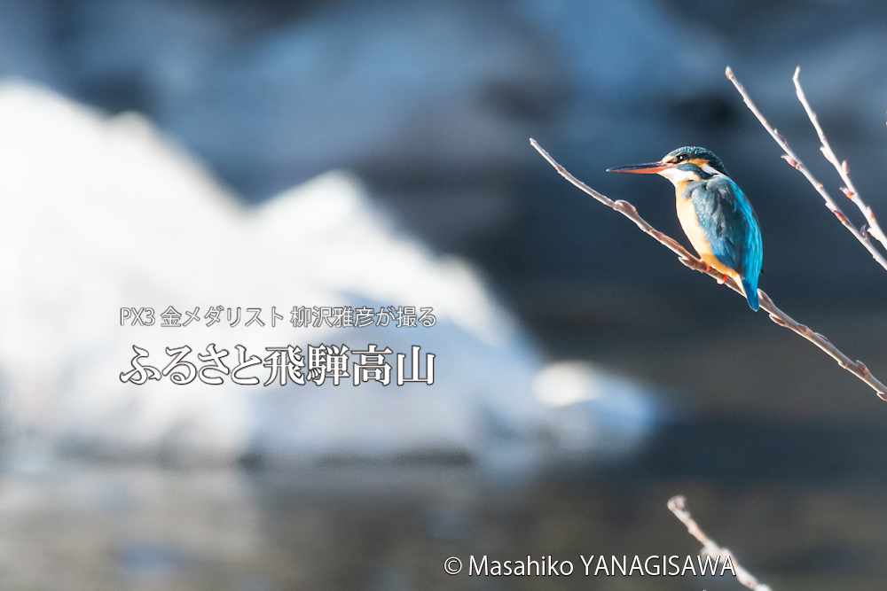 　撮影・柳沢雅彦