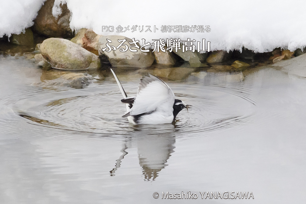 　撮影・柳沢雅彦