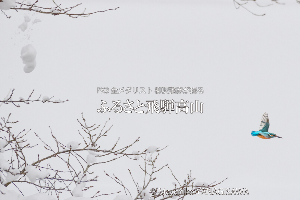 　撮影・柳沢雅彦