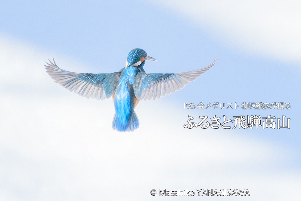 　撮影・柳沢雅彦