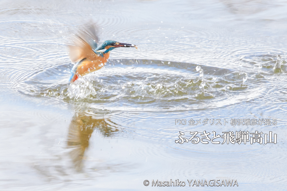 　撮影・柳沢雅彦