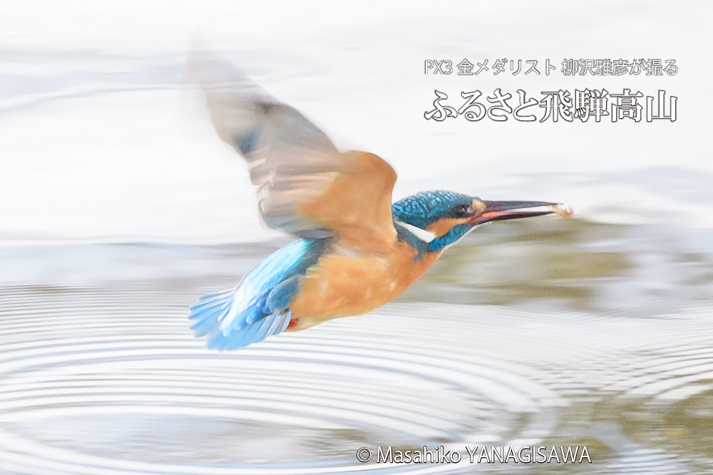 　撮影・柳沢雅彦