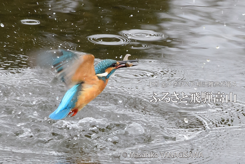 　撮影・柳沢雅彦