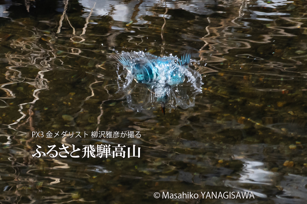 　撮影・柳沢雅彦