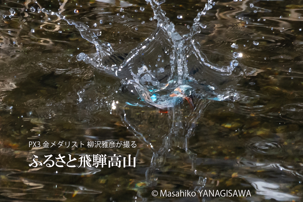 　撮影・柳沢雅彦