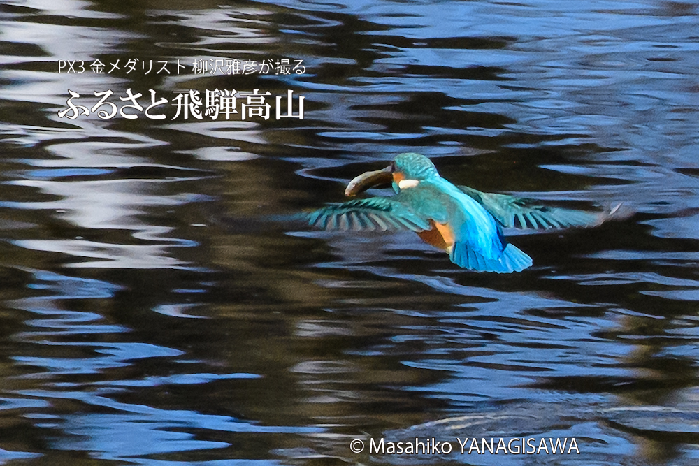 　撮影・柳沢雅彦