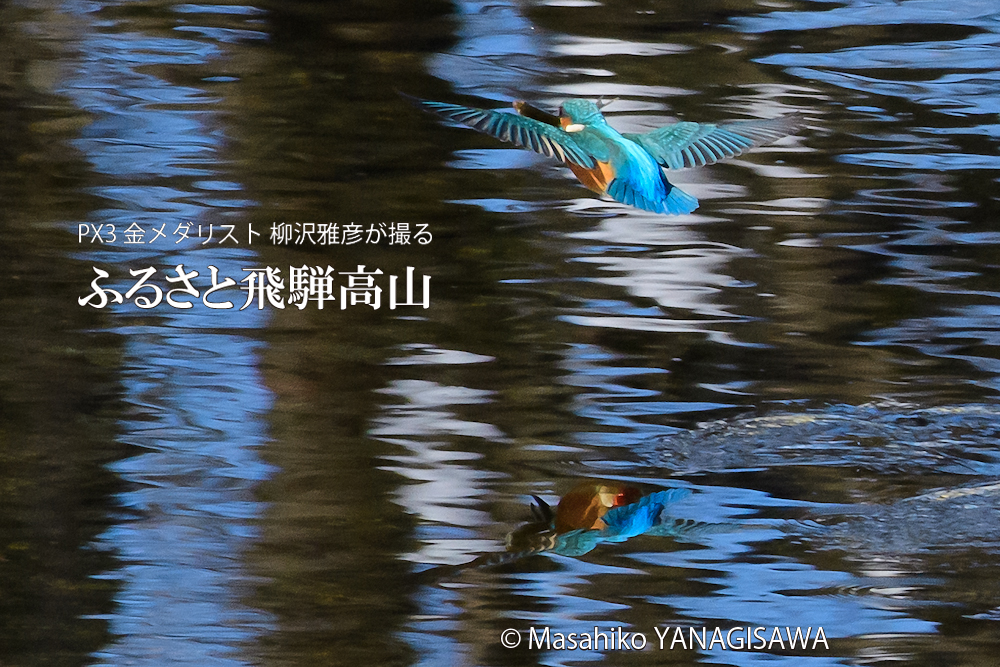 　撮影・柳沢雅彦