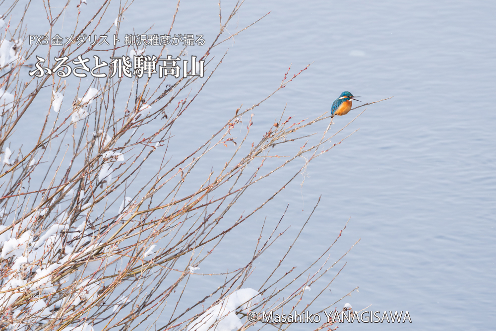 　撮影・柳沢雅彦