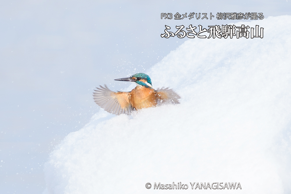 　撮影・柳沢雅彦