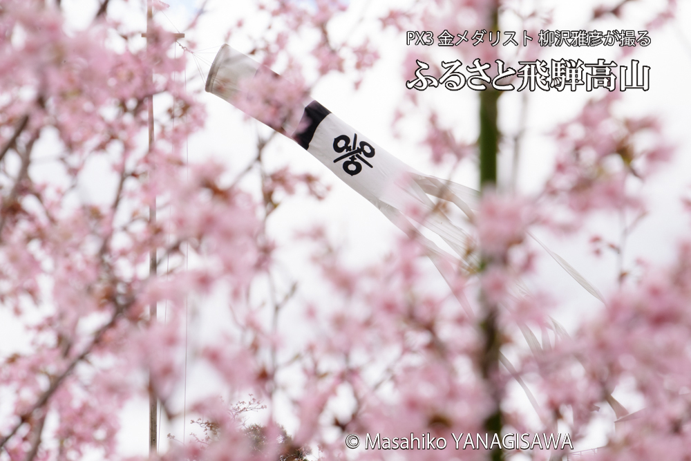 　撮影・柳沢雅彦