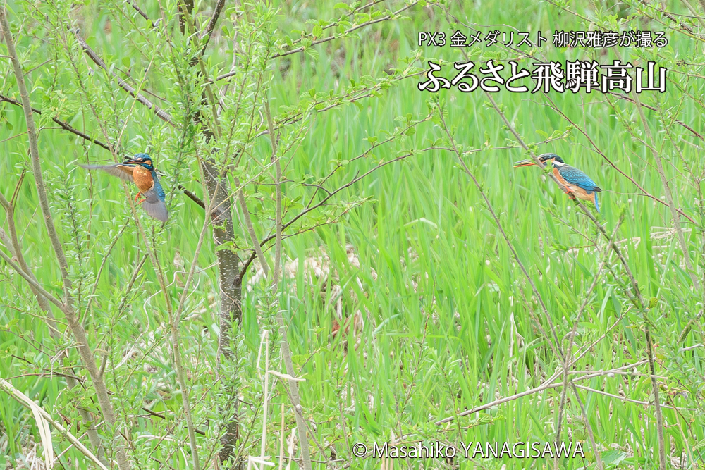 　撮影・柳沢雅彦