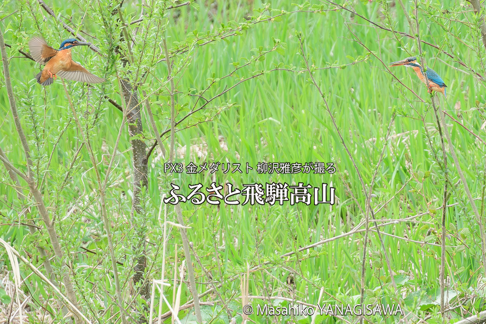 　撮影・柳沢雅彦