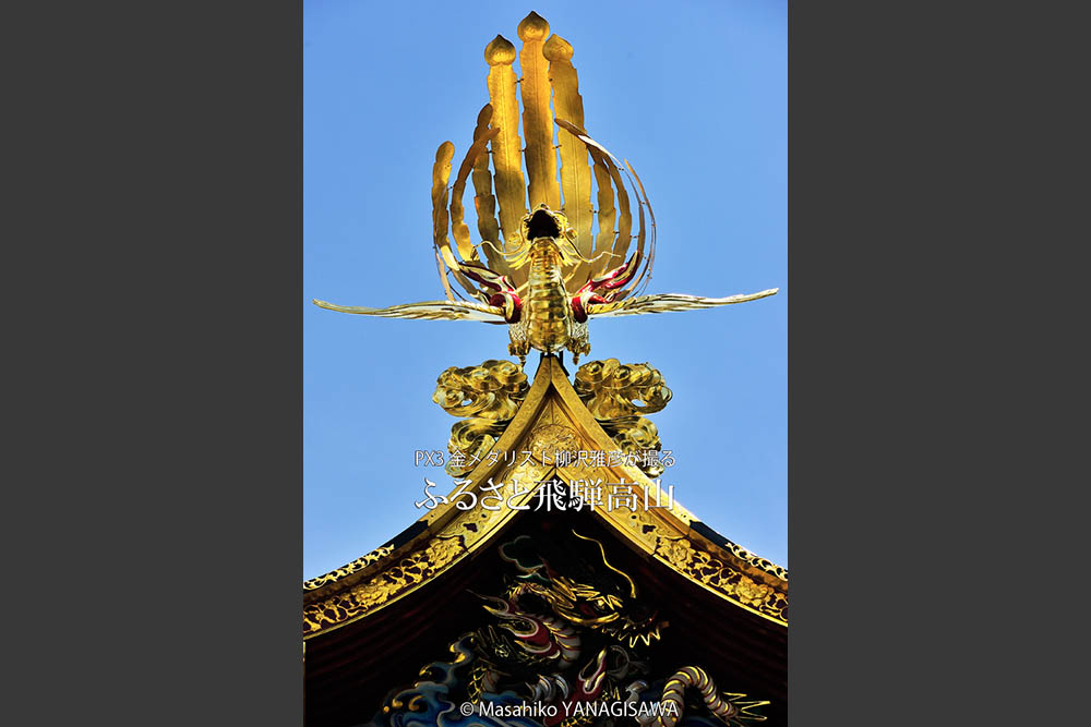 春の高山祭（山王祭）の観光写真です　撮影・柳沢雅彦