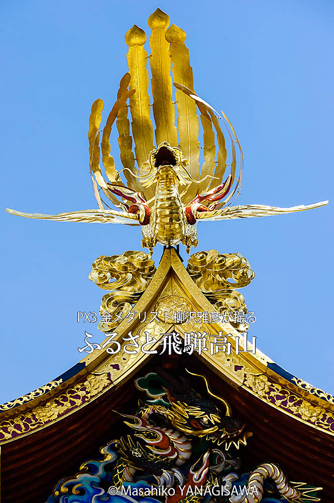 春の高山祭（山王祭）の観光写真です　撮影・柳沢雅彦