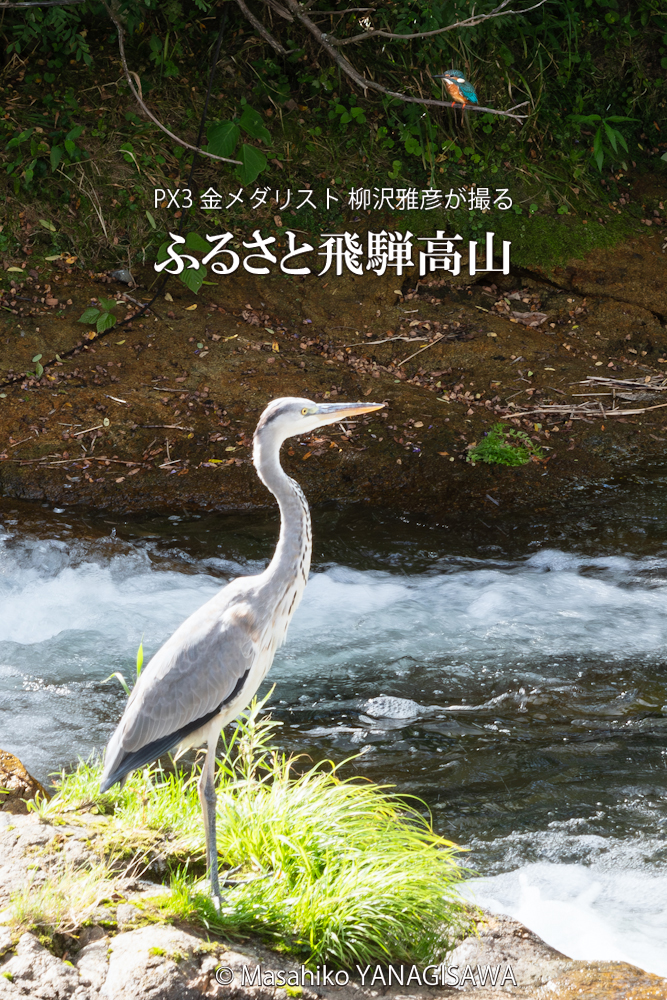 　撮影・柳沢雅彦