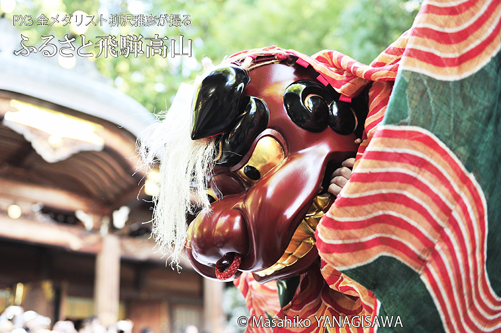 秋の高山祭（八幡祭）　撮影・柳沢雅彦