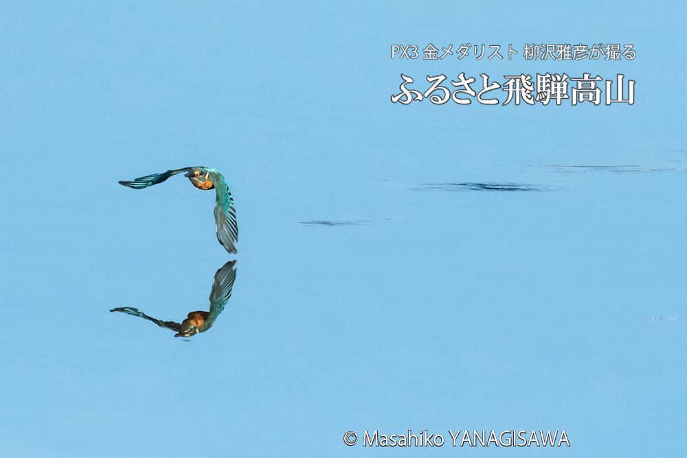 　撮影・柳沢雅彦