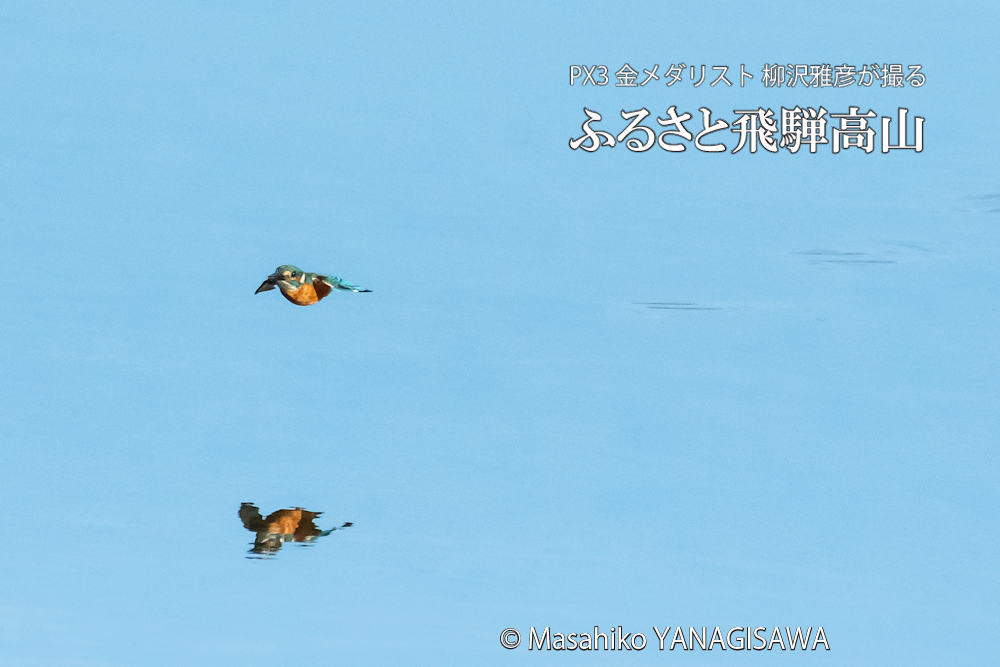 　撮影・柳沢雅彦